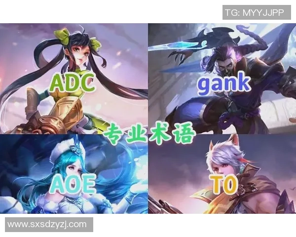 王者荣耀战术解析V5战队进攻体系的核心策略与实施细节